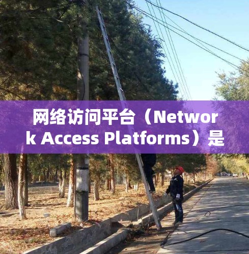 网络访问平台（Network Access Platforms）是用于监控、测试和管理网络功能的工具。以下是一些常用的网络访问平台合集