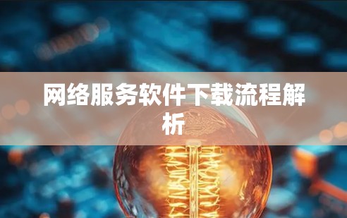 网络服务软件下载流程解析