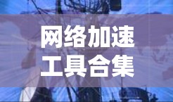 网络加速工具合集推荐，你的选择，你的速度