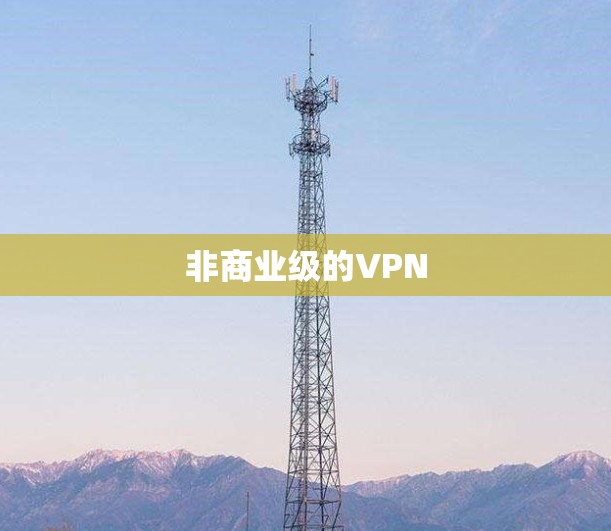 非商业级的VPN