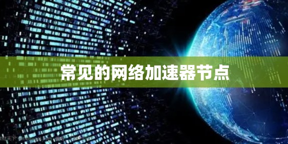 常见的网络加速器节点