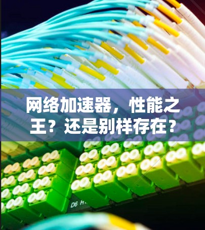 网络加速器,性能之王?还是别样存在? 网络加速器,性能之王?还是别样存在?