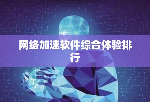 网络加速软件综合体验排行