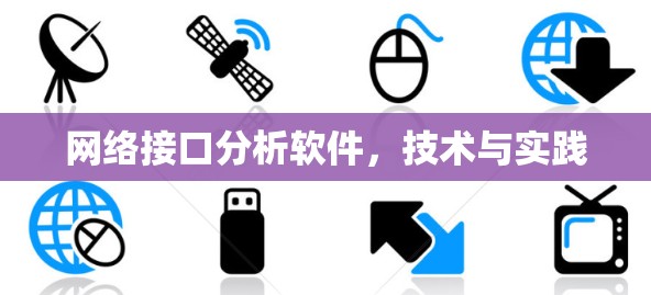 网络接口分析软件，技术与实践
