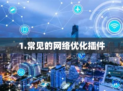 1.常见的网络优化插件