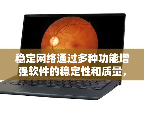 稳定网络通过多种功能增强软件的稳定性和质量，具体包括