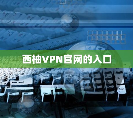西柚VPN官网的入口