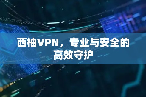西柚VPN，专业与安全的高效守护