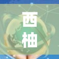 西柚 VPN,连接世界,获取私密世界 西柚 VPN,连接世界,获取私密世界