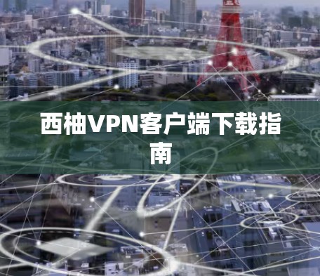 西柚VPN客户端下载指南