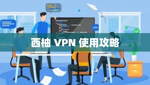 西柚 VPN 使用攻略