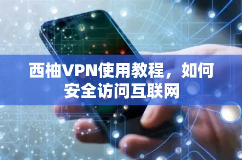 西柚VPN使用教程，如何安全访问互联网