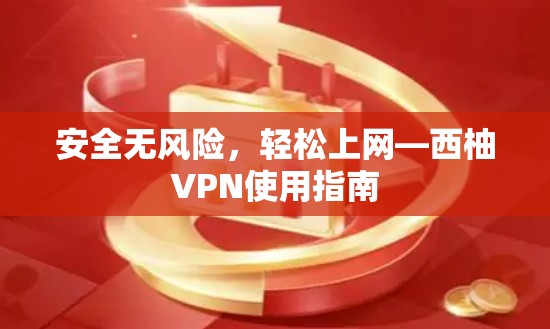 安全无风险，轻松上网—西柚VPN使用指南