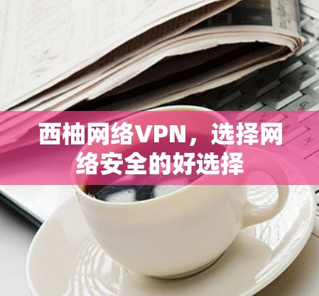 西柚网络VPN，选择网络安全的好选择