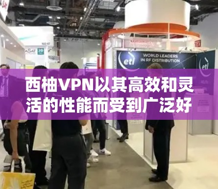 西柚VPN以其高效和灵活的性能而受到广泛好评，但在某些特定场景下表现较差。以下是对其性能的详细分析