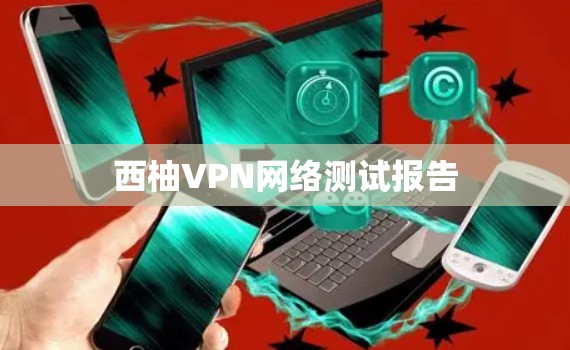 西柚VPN网络测试报告 西柚VPN网络测试报告