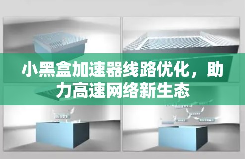 小黑盒加速器线路优化，助力高速网络新生态