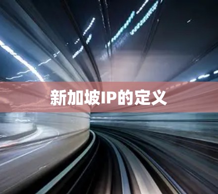 新加坡IP的定义
