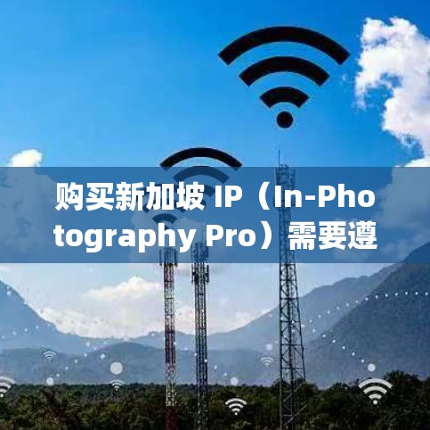 购买新加坡 IP（In-Photography Pro）需要遵循新加坡的相关法律法规和规定。以下是购买新加坡 IP 的一些关键步骤和注意事项
