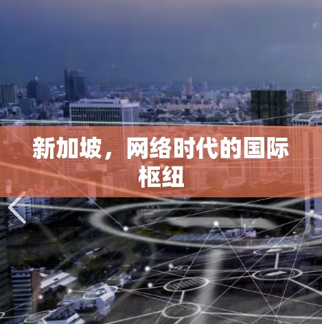新加坡，网络时代的国际枢纽