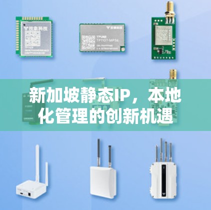 新加坡静态IP，本地化管理的创新机遇