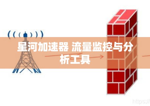 星河加速器 流量监控与分析工具 星河加速器 流量监控与分析工具