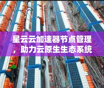 星云云加速器节点管理，助力云原生生态系统的建设与扩展