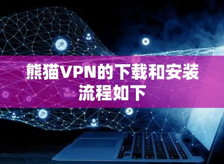 熊猫VPN的下载和安装流程如下