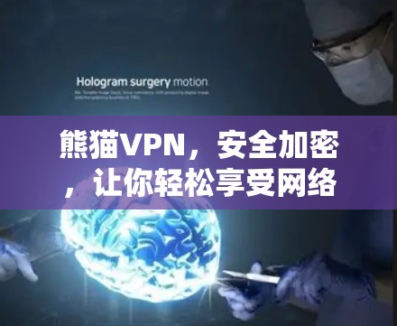 熊猫VPN，安全加密，让你轻松享受网络