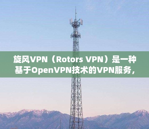 旋风VPN（Rotors VPN）是一种基于OpenVPN技术的VPN服务，旨在提供安全、高效、多端连接的网络解决方案。以下是其功能的详细介绍