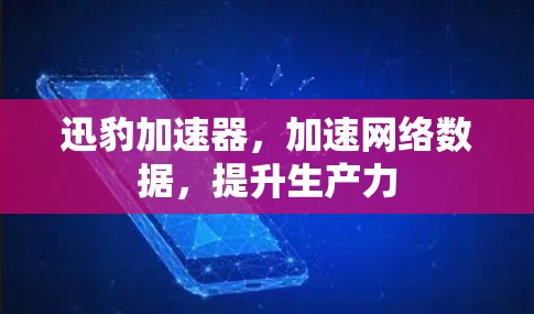迅豹加速器,加速网络数据,提升生产力 迅豹加速器,加速网络数据,提升生产力