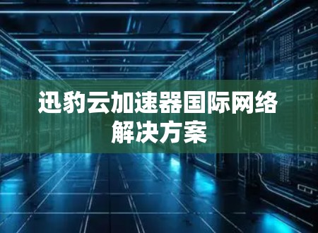迅豹云加速器国际网络解决方案 迅豹云加速器国际网络解决方案