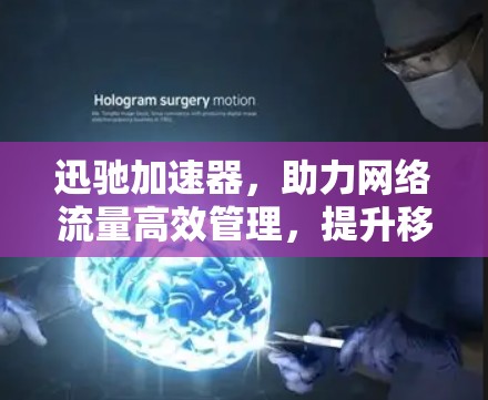 迅驰加速器,助力网络流量高效管理,提升移动端网络性能 迅驰加速器,助力网络流量高效管理,提升移动端网络性能
