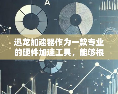 迅龙加速器作为一款专业的硬件加速工具，能够根据电脑硬件情况自动推荐和加速相关硬件，显著提升电脑性能。以下是关于迅龙加速器的详细说明